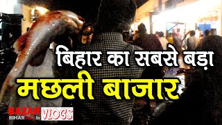 PATNA और BIHAR का सबसे बड़ा मछली बाजार  Patna ka Bazar Samiti  Biggest Wholesale Fish Market India [upl. by Eenttirb948]