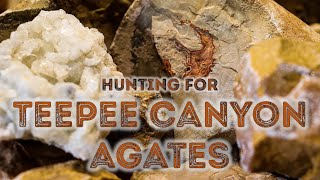 Rockhounding South Dakota  The Hunt for Teepee Canyon Agates [upl. by Aisset326]