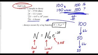 Half Life Decay NN0e Natural Log [upl. by Dever]