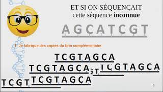 Technique Séquençage ADN [upl. by Grefe]