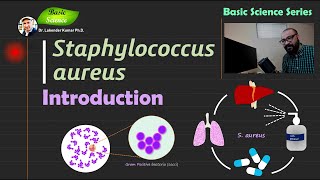 Staphylococcus aureus  Introduction  Bacteriology  Basic Science Series [upl. by Yruama]