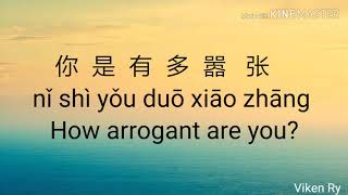 嚣张 Xiāo Zhāng Arrogant Lyrics 歌詞 With Pinyin amp English Translation [upl. by Airetal]