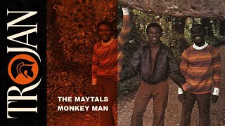 The Maytals Monkey Man official audio [upl. by Isaiah]