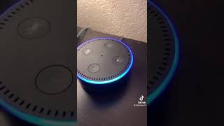 Hey Alexa i want you to fart for me Tik Tok Video [upl. by Levin603]