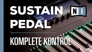 Sustain Pedal Setup  Komplete Kontrol [upl. by Celie]