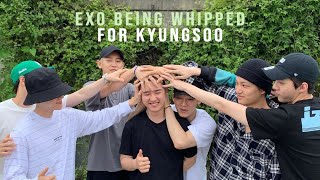 EXO BEING WHIPPED FOR KYUNGSOO [upl. by Nnaira]