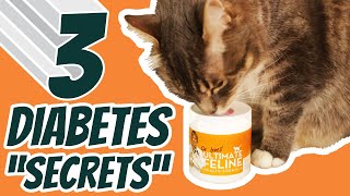 Dr Jones Cats Diabetes Journey 3 Home Remedies That Really Work [upl. by Boyd860]