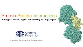 Brief Introduction of ProteinProtein Interactions PPIs [upl. by Ariada]