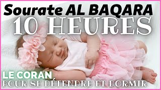 ►SOURATE AL BAQARA 10 HEURES 👉 ►►😴 ✅ Coran Pour Dormir BEBE [upl. by Welles]