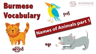 Learn Burmese language Burmese Vocabulary  Animals part1 [upl. by Perrin]