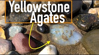 Why They Call it the quotTreasure Statequot  Gemstone Hunting for Yellowstone River Agates in Montana [upl. by Pharaoh]