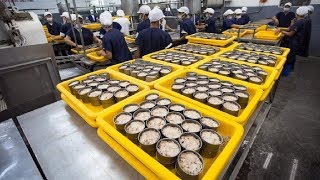 How it made Canned Tuna processing line in Factory [upl. by Punak456]