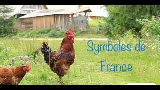 Impara il francese les symboles de la France [upl. by Nnylyahs710]