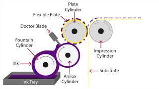 Flexographic Printing Explained [upl. by Annawik]