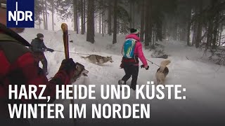 Erlebnis Winterzauber  die nordstory  NDR Doku [upl. by Hsan42]