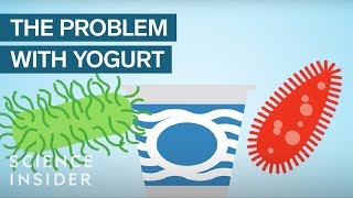 Yogurt Is More Unhealthy Than You Think [upl. by Llenyl]