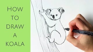 Beginners  How to draw a koala [upl. by Behl701]