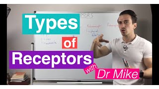 Types of Sensory Receptors [upl. by Anders995]