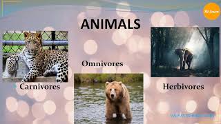 Animals Herbivores Carnivores Omnivores and Scavengers [upl. by Irahs133]