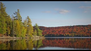 Algonquin Park Yours to Explore wwwalgonquinparkonca [upl. by Twyla385]