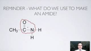 11 Ester and Amide Hydrolysis [upl. by Jessamine26]