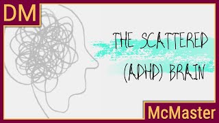 Understanding the scattered ADHD brain [upl. by Pietje]