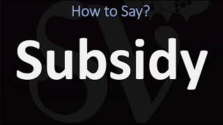 How to Pronounce Subsidy CORRECTLY [upl. by Ekusuy]