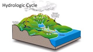 Hydrologic Cycle [upl. by Kceb]