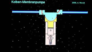 Membranpumpe [upl. by Ahsienek]