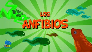 Los Anfibios  Vídeos Educativos para Niños [upl. by Cari5]