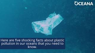 Five Facts About Ocean Plastics That You Need To Know [upl. by Hamilah]