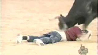 Bull Attacks Man and tears off pants  Funny Animal Videos [upl. by Featherstone]