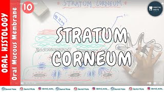 Stratum Corneum  OMM  Dr Paridhi Agrawal [upl. by Elehcim]