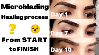 Microblading healing process from start to finish  Eyebrows experience  VLOG [upl. by Ahseined]