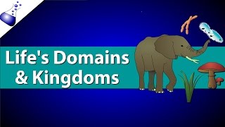 Domains and Kingdoms of life [upl. by Nortal]