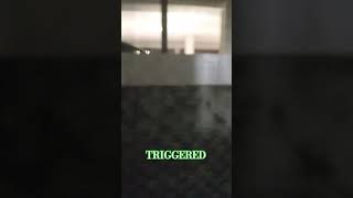 Triggered Sound Effect [upl. by Ailefo319]