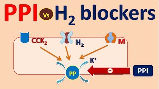 Proton pump inhibitors PPI vs H2 blockers [upl. by Arnon]