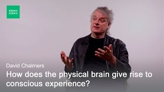 Hard Problem of Consciousness — David Chalmers [upl. by Armbrecht690]