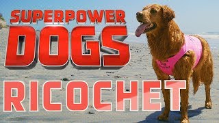 Filming Ricochet Certified Therapy Dog  Superpower Dogs [upl. by Kathlin]