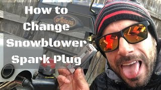 How to Change Ariens Snowblower Spark Plug [upl. by Enilreug]