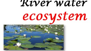 RIVER WATER ECOSYSTEM [upl. by Eivi]