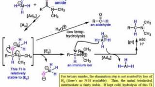 Mechanisms of Amide Reduction by LiAlH4 [upl. by Ursola]