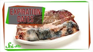 What Do Food Expiration Dates Actually Mean [upl. by Lerrehs]