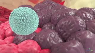 Introduction to NK Cell Immunotherapy with INKmune  Priming NK Cells [upl. by Delos865]