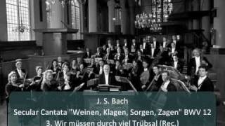 J S Bach  Cantata quotWeinen Klagen Sorgen Zagenquot BWV 12  3 Wir müssen 37 Rec [upl. by Justen]