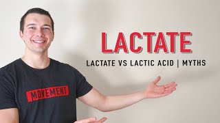 Lactate vs Lactic Acid Explained  Muscle Physiology [upl. by Cynthea698]