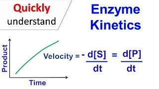 Enzyme kinetics [upl. by Sprung]