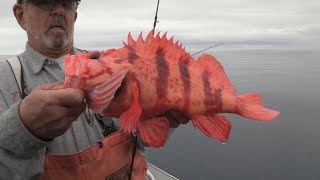 Coos Bay OR Rockfish amp Lingcod Fishing [upl. by Salokcin]