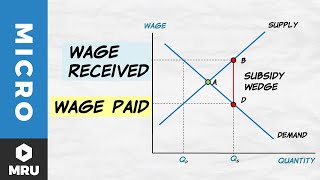 Wage Subsidies [upl. by Nemraciram]