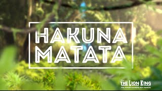 Hakuna Matata  Disneys THE LION KING Official Lyric Video [upl. by Yanetruoc]